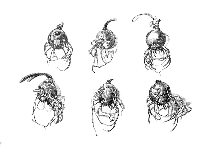 Amaryllis-Knolle sechsfach 2006 Bleistift, 59 x 84 cm