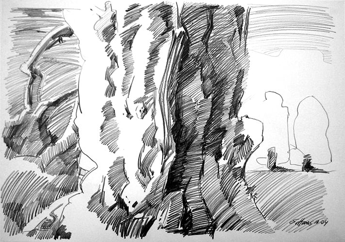 Großer Baum 2004 Bleistift, 59 x 84 cm