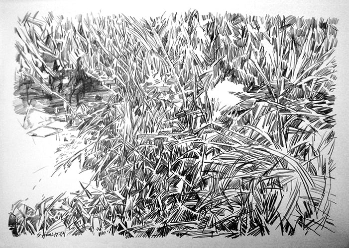 Laascher Sumpf 2004 Bleistift, 59 x 84 cm